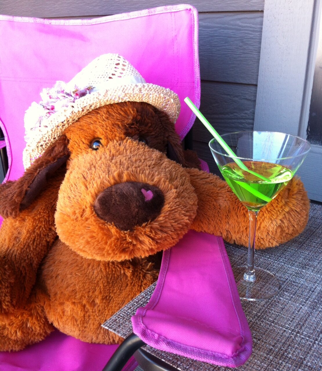 Hi everyone! This is Chapa the dog. He is here to share some moments of his life with you! Hope you like it ;)))