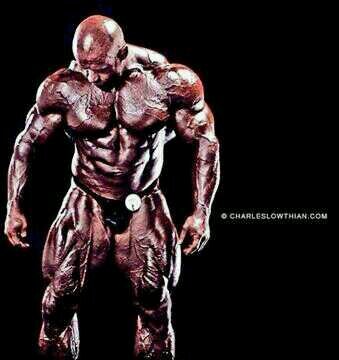 Pure BodyBuilding motivation. Only Blood,Sweat, and Hard Work.                     Contact Underdogbb1@gmail.com