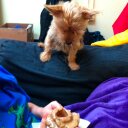 Pam Straw - @PamStraw - Twitter