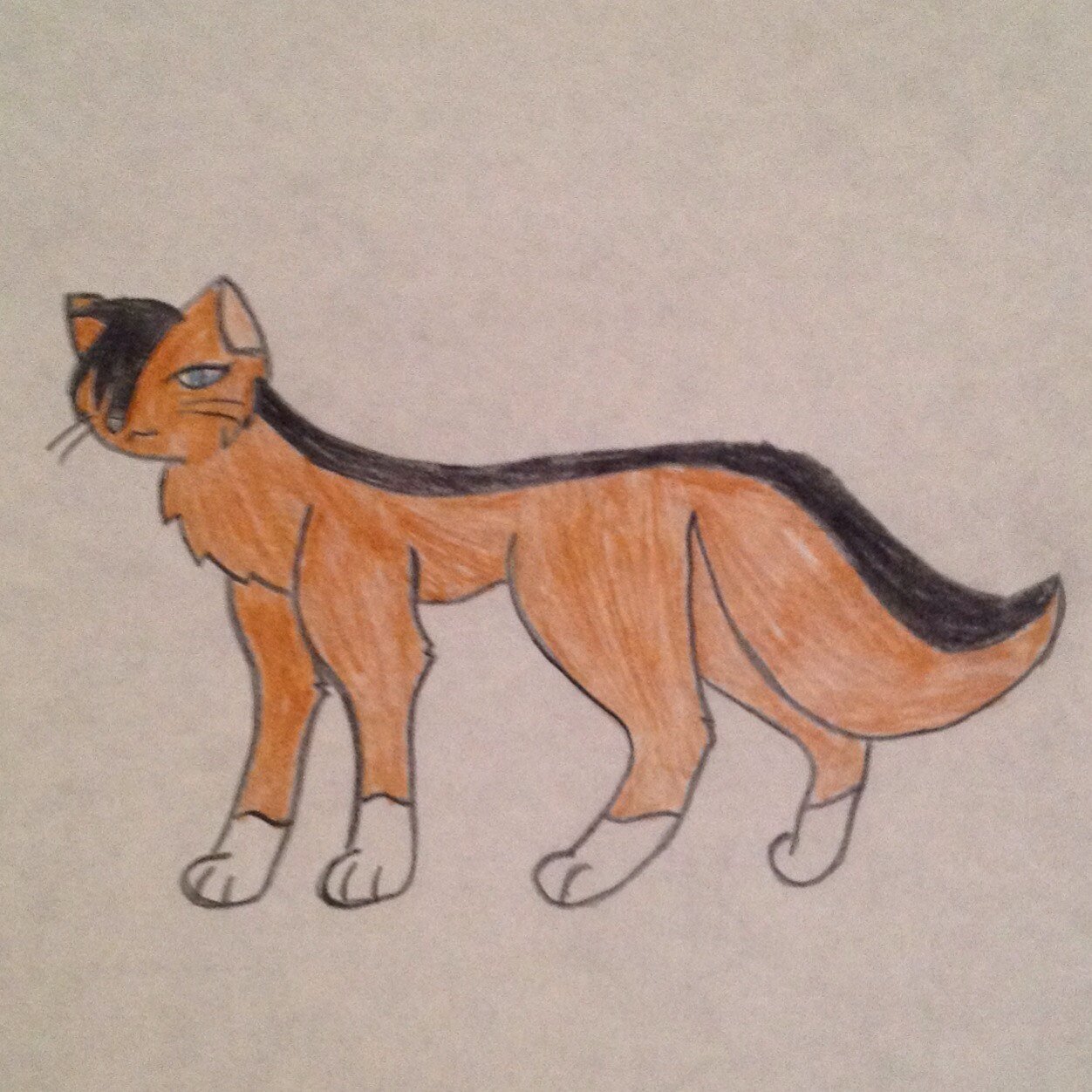 Hey Im MusicHeart (RiverClan Queen) Mother - ? Father - ? Mate - @SpottedOak Kits - OakKit SpottedKit & FlameKit
