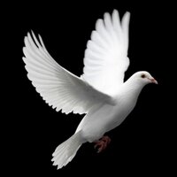 A'M'G'A'D (@98_amjaad) Twitter profile photo