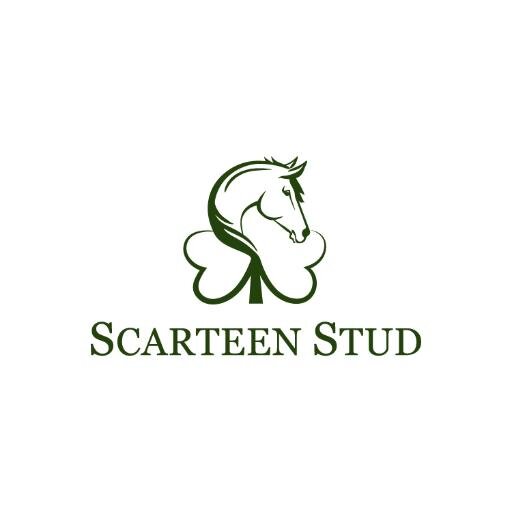 Scarteen Stud is owned by Richie and Anne Donworth. It is a full service horsefarm based in Central Kentucky.