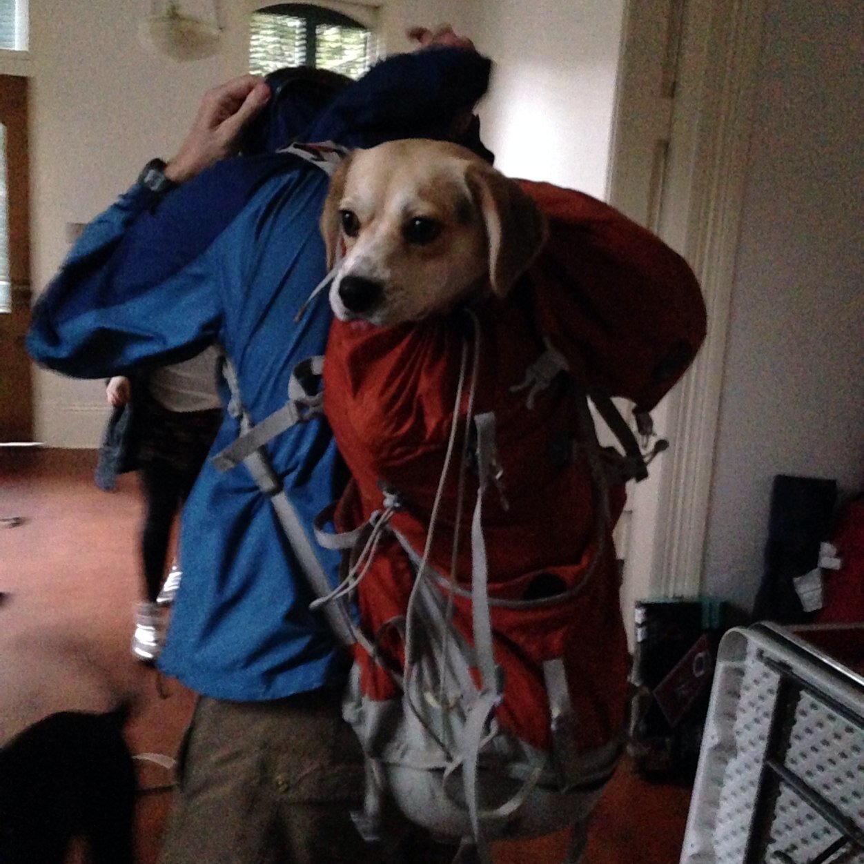 JacobSethPine's profile picture. Ducks Fly Together