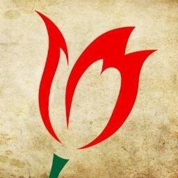 daksoy04's profile picture. 