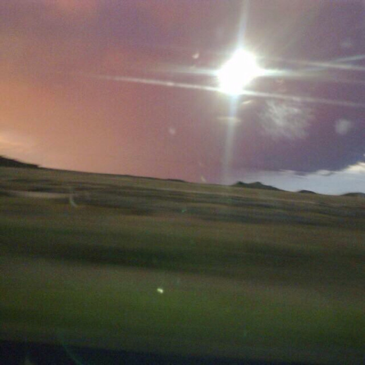 rampwilson's profile picture. 