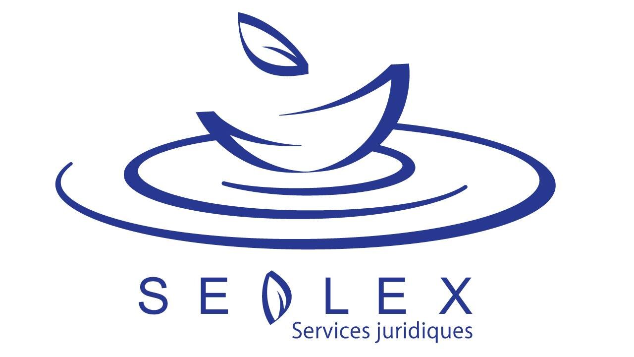 Droit corporatif et commercial pour avocats et notaires/Corporate and Commercial Law for lawyers and notaries Prez @mrejouis