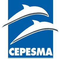 CEPESMA (@cepesma) 's Twitter Profile