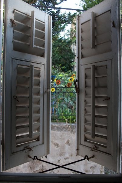 LussinPiccolo's profile picture. 