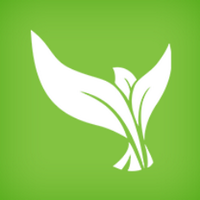 Creation Today (@creationtoday) 's Twitter Profile
