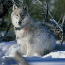 Aaron Singleton - @AaronSingleto16 - Twitter