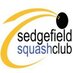 Sedgefield Squash (@sedgysquash) Twitter profile photo