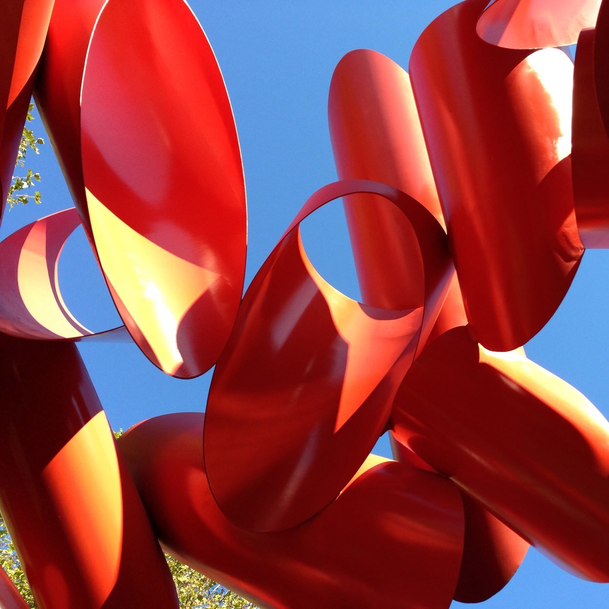 starzhang99's profile picture. 