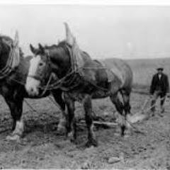 Im a Farmer (Joe Leander)