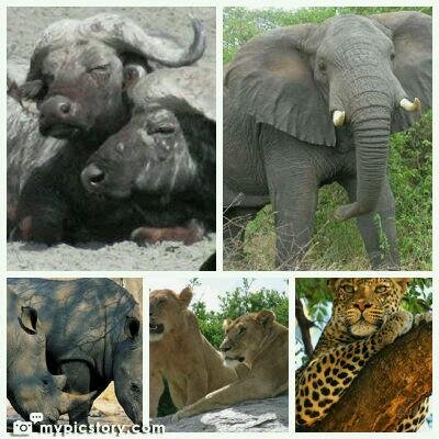 Tourism & Wildlife [Blog Guide]