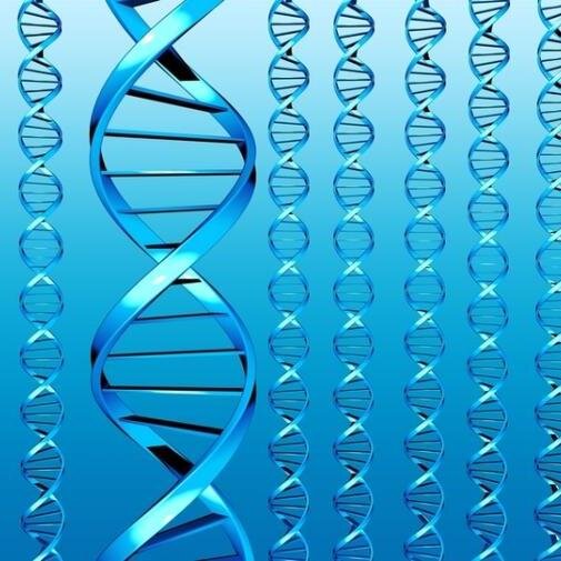 The regional policy and public affairs voice for the biotechnology and biopharmaceutical industry in New England.