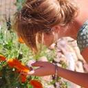 Cindy Newton - @DawgNetworker - Twitter