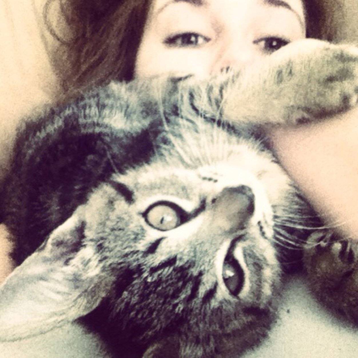 tkj0's profile picture. 