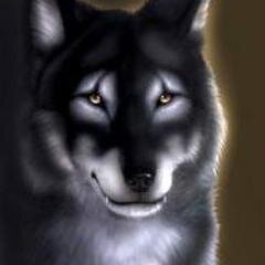 We are Anonymous. We are Legion. We do not forgive. We do not forget. Expect us