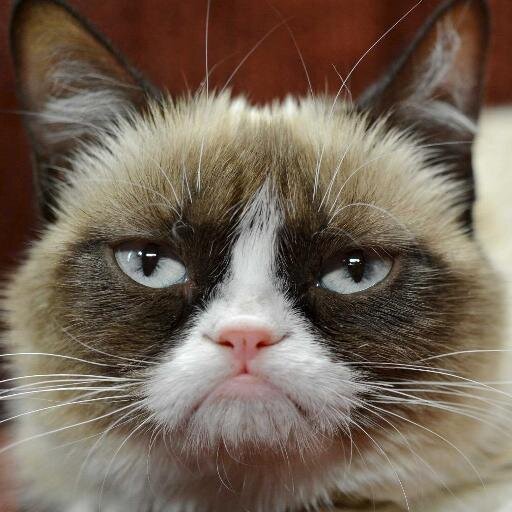 JoeImi01's profile picture. 