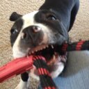 Denny Heimbach - @DBach67 - Twitter