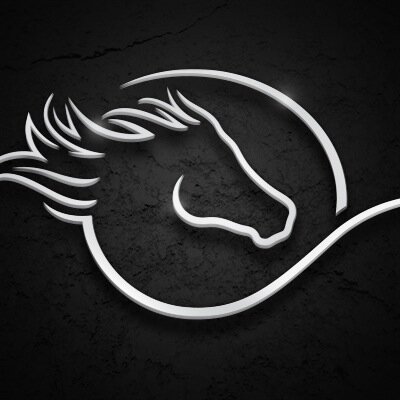 For bold experienced riders wanting multi days either on their own horses or on hired spirited and finely tuned horses on Dartmoor