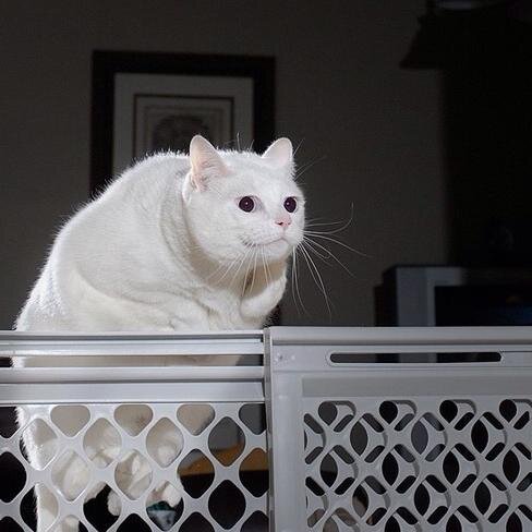 :)