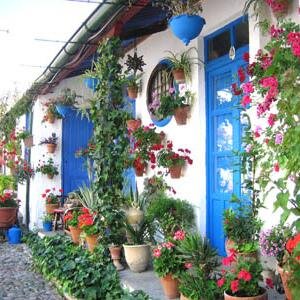 El mejor mes en la mejor ciudad....Mayo Cordobés