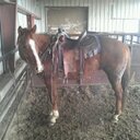 Casey Land - @kcland54 - Twitter