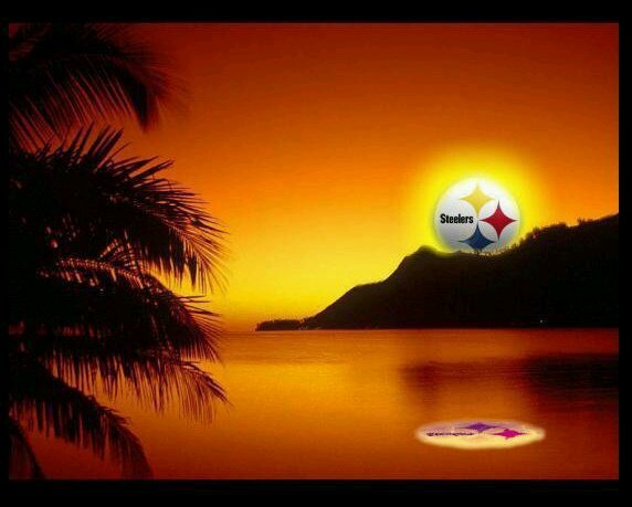 Seanh1123's profile picture. 