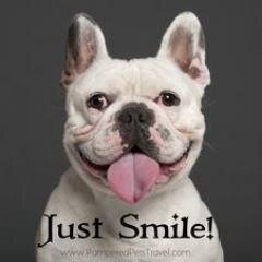 AnimalDevotion's profile picture. Page entirely dedicated for us, animal lovers. Sit back, relax and look at our photo gallery.