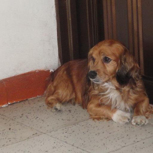 musaenz's profile picture. 