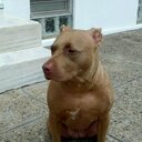 Michael Fleck - @fleckworld64 - Twitter