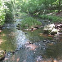 Andrea (@anvesaka88) 's Twitter Profile Photo