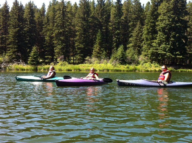 LSchlamp's profile picture. 