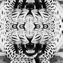 EdgarLemon - @EdgarLemon420 - Twitter