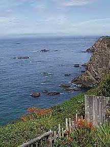 cfwrites's profile picture. Independent Writer