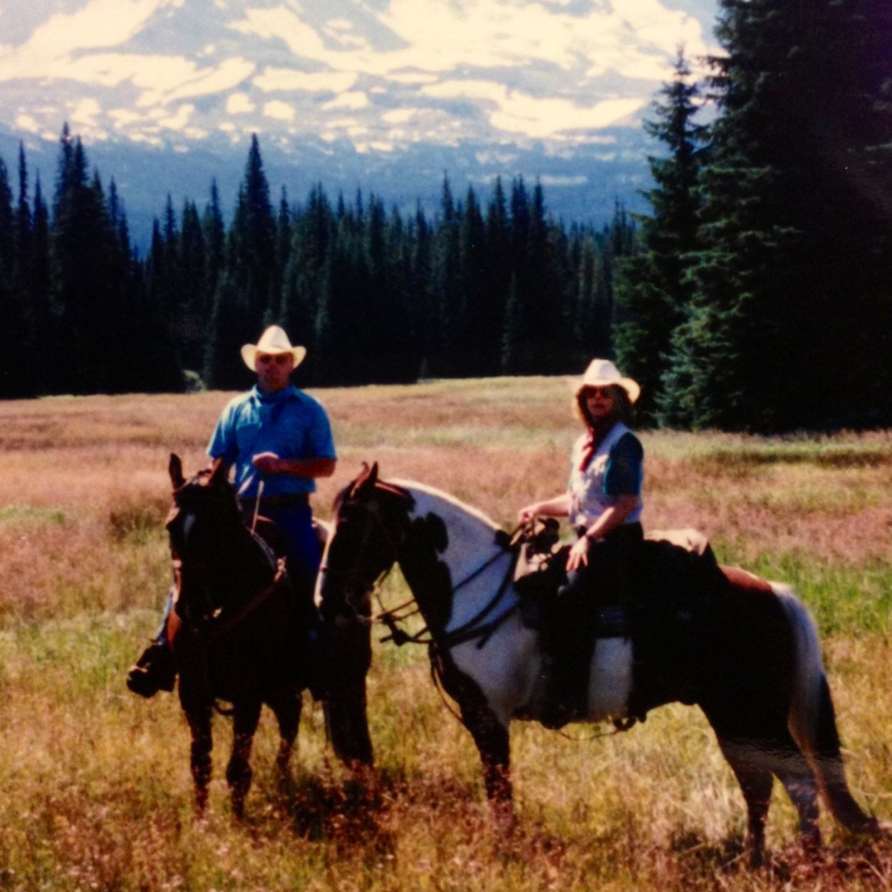 Sharing a love of the Tennessee Walking Horse, working ranches and wide open spaces of inland WA