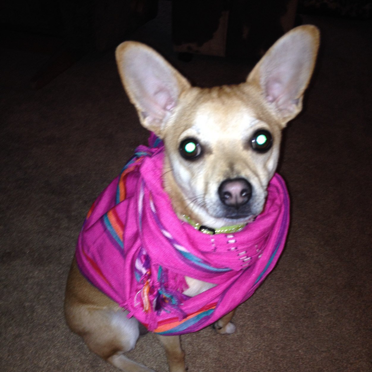 klkile's profile picture. 