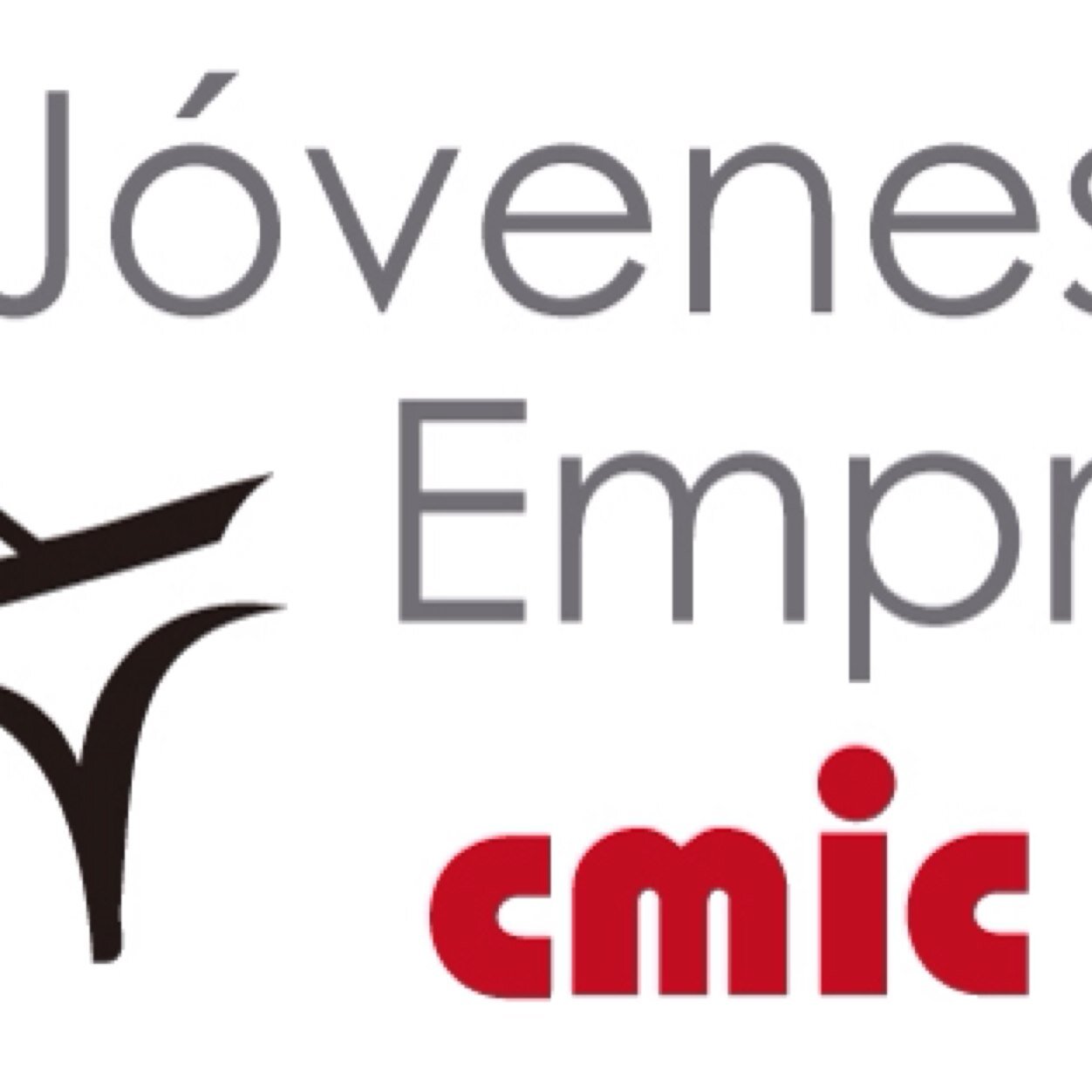 Jóvenes Empresarios CMIC  Cámara Mexicana de la Industria de la Construcción. Presidente : @pablogilengell