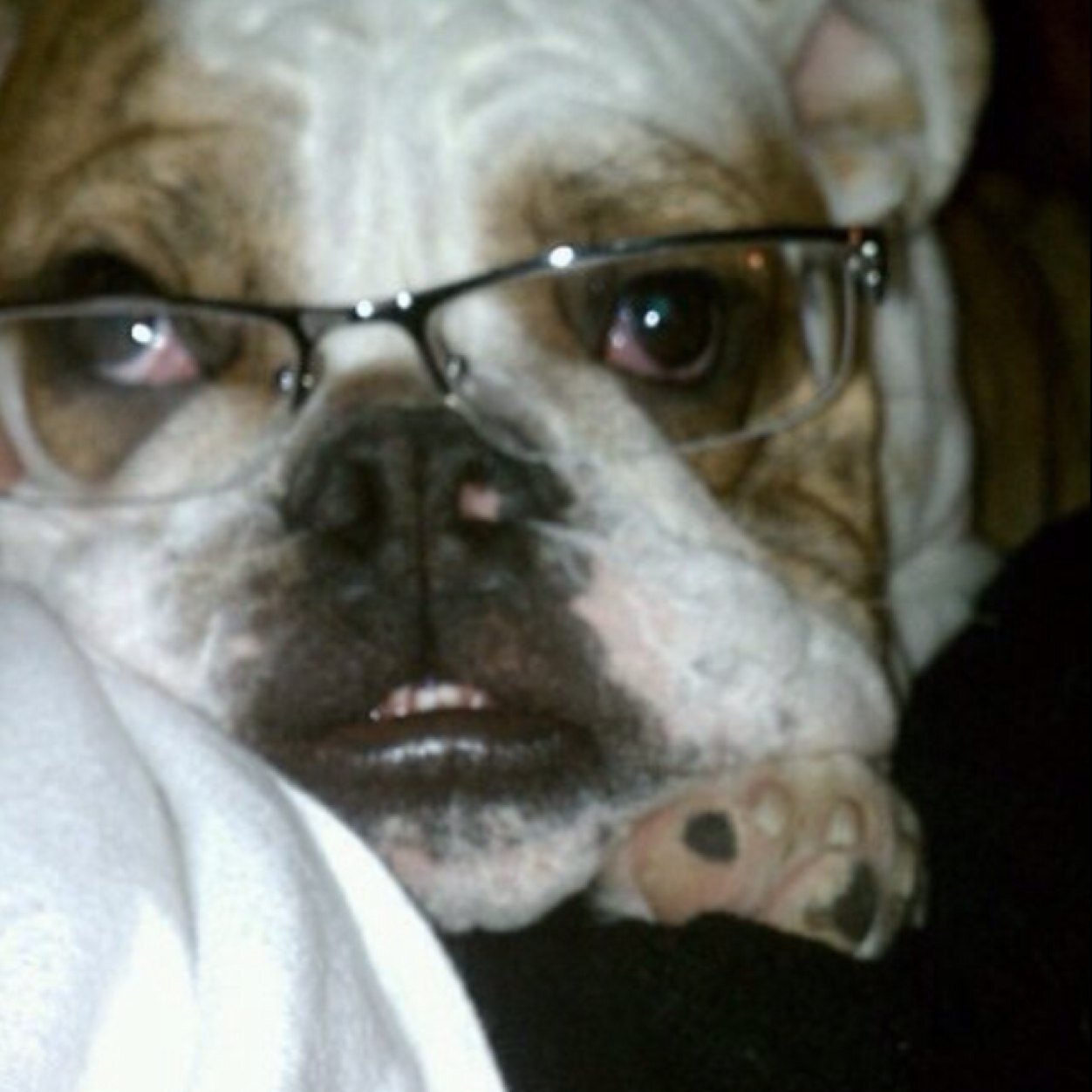 Golfer6869's profile picture. 