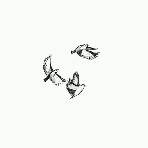 No expectations, no disappointments. - Amor Vincit  Omnia  - Believe - Hope, Faith, Love - C'est la vie