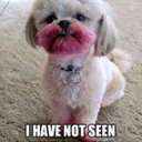 Jenny  - @jennifer_bowyer - Twitter