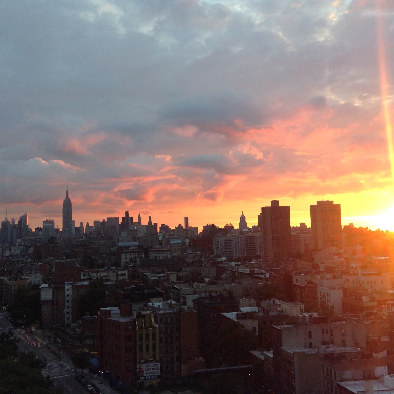 elisafreedman's profile picture. sometimes I tweet. but mostly I just read yours.