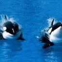 bertha mendiola - @berthamendiola1 - Twitter