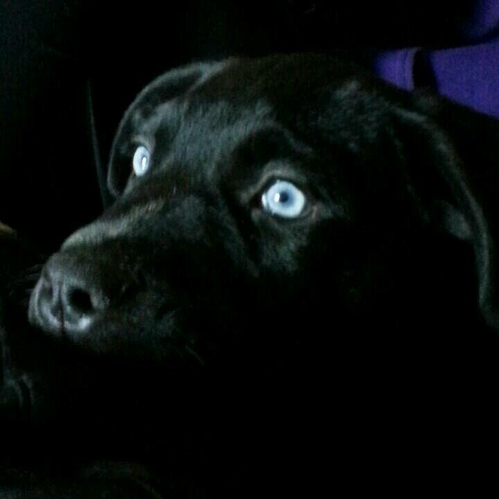 missyperry33's profile picture. 