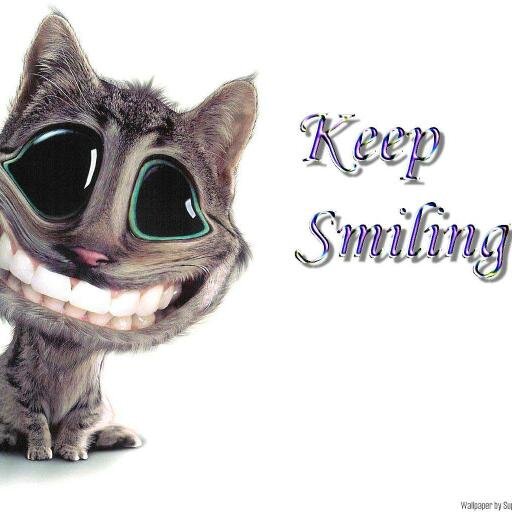 ErinSumers's profile picture. (insert funny caption) BTW I'm Erin...