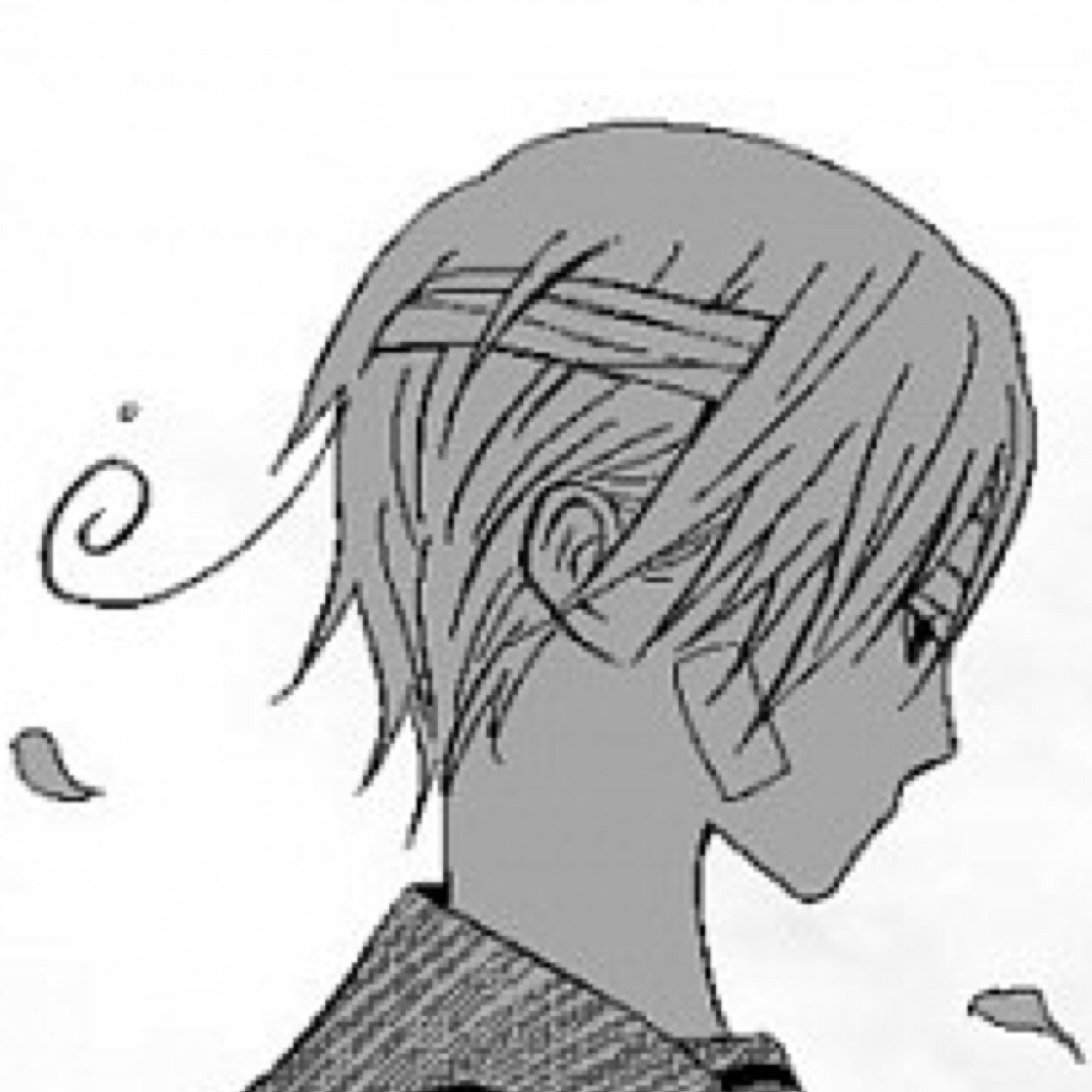 I don't see a need to explain myself..., but my name is Nor-- I mean Lukas. Don't bother me unless you have a good reason.
[[ #HetaliaRp #AllRpsWelcome ]]