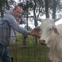 Dirk Wilson 🌊🌊🌊 (@jdirkwilson) 's Twitter Profile