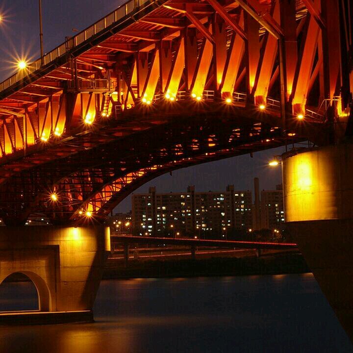 wtfyoudoing12's profile picture. 