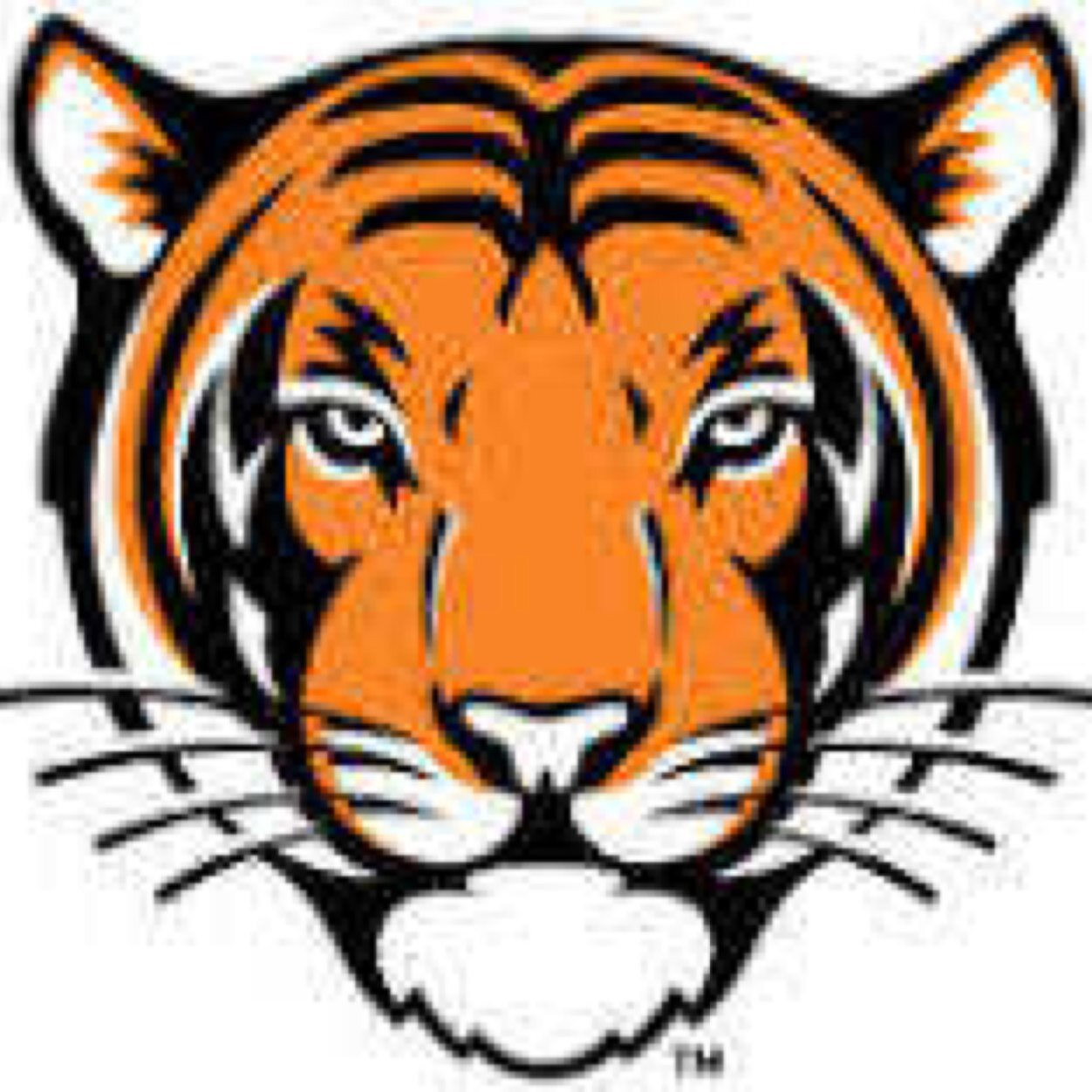 Saintslaxdad2's profile picture. 